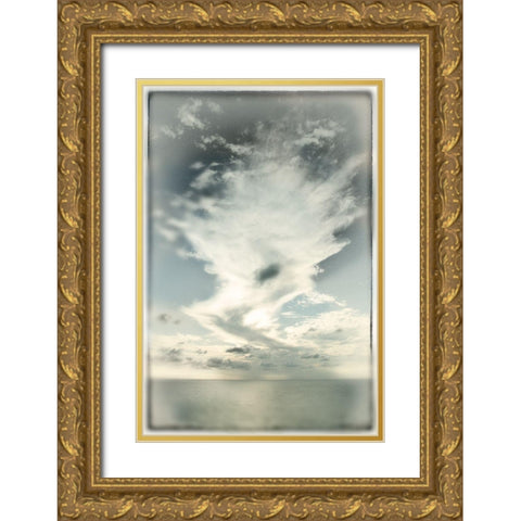 Sky Calling I  Gold Ornate Wood Framed Art Print with Double Matting by Connolly, Karin