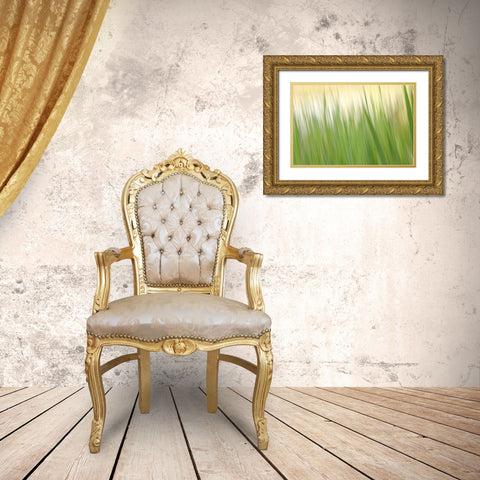 Fresh Green Grass  Gold Ornate Wood Framed Art Print with Double Matting by Connolly, Karin