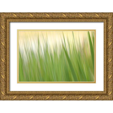 Fresh Green Grass  Gold Ornate Wood Framed Art Print with Double Matting by Connolly, Karin