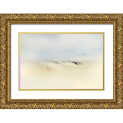 Desert Land  Gold Ornate Wood Framed Art Print with Double Matting by Connolly, Karin
