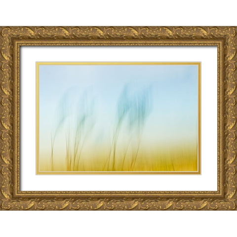 Sunset Air  Gold Ornate Wood Framed Art Print with Double Matting by Connolly, Karin