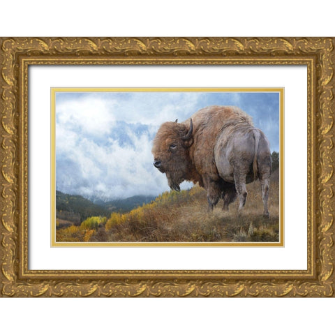 Golden Bison  Gold Ornate Wood Framed Art Print with Double Matting by Vest, Chris