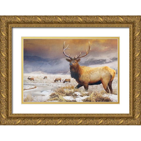 Jackson Refuge Elk Gold Ornate Wood Framed Art Print with Double Matting by Vest, Chris
