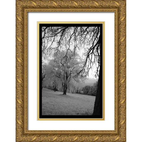 Infra Red Forest I Gold Ornate Wood Framed Art Print with Double Matting by Comfort, David