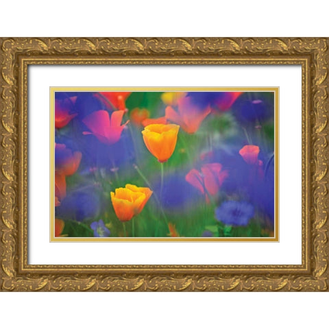 Tulipia Gold Ornate Wood Framed Art Print with Double Matting by Frates, Dennis