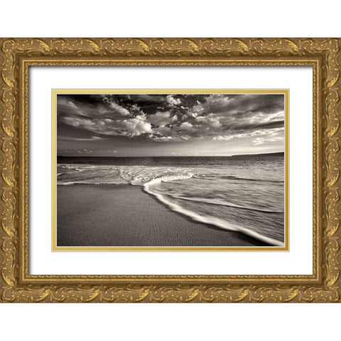 Tranquility II Gold Ornate Wood Framed Art Print with Double Matting by Frates, Dennis