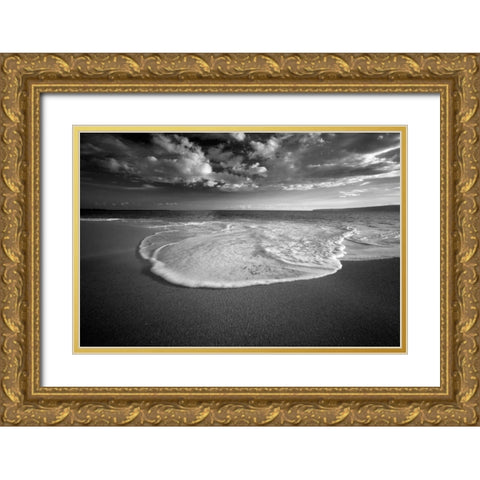 Sea of Serenity Gold Ornate Wood Framed Art Print with Double Matting by Frates, Dennis