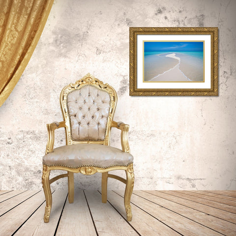 Oceans Meet Gold Ornate Wood Framed Art Print with Double Matting by Frates, Dennis