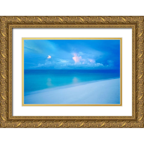 Rays Gold Ornate Wood Framed Art Print with Double Matting by Frates, Dennis