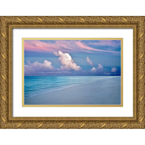 Skyfall II Gold Ornate Wood Framed Art Print with Double Matting by Frates, Dennis