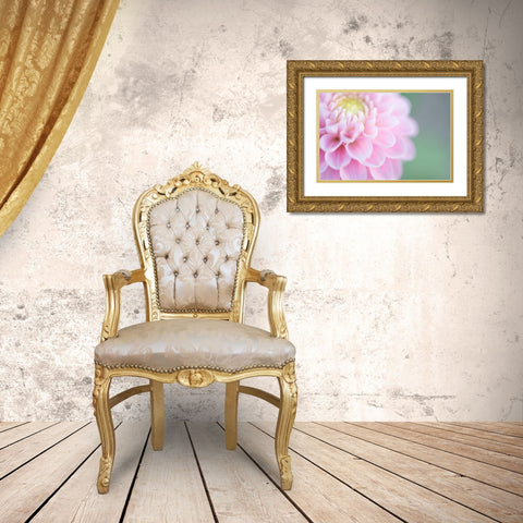 Pink Cups Gold Ornate Wood Framed Art Print with Double Matting by Kirshner, Dmitry