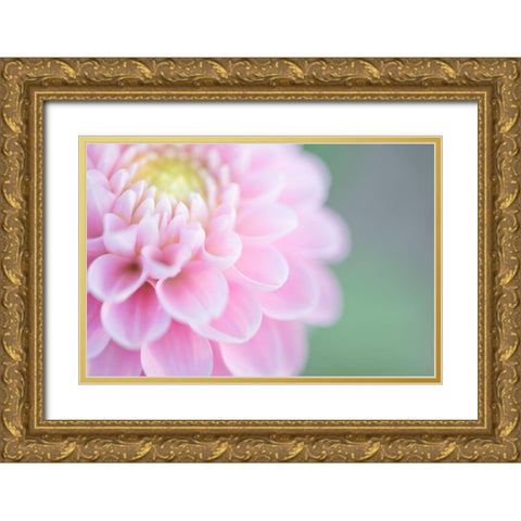 Pink Cups Gold Ornate Wood Framed Art Print with Double Matting by Kirshner, Dmitry