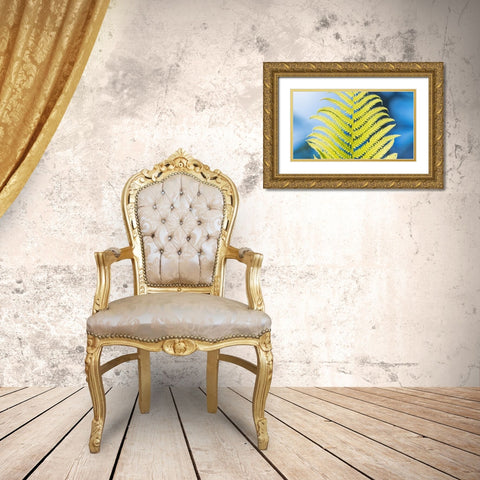 Poise Gold Ornate Wood Framed Art Print with Double Matting by Kirshner, Dmitry