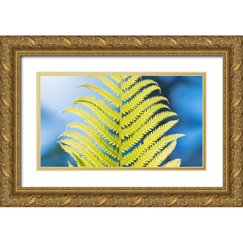 Poise Gold Ornate Wood Framed Art Print with Double Matting by Kirshner, Dmitry