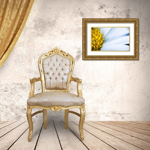 Soft Reach Gold Ornate Wood Framed Art Print with Double Matting by Kirshner, Dmitry