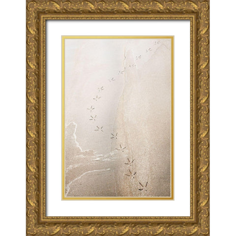 Just Passing By Gold Ornate Wood Framed Art Print with Double Matting by Kirshner, Dmitry