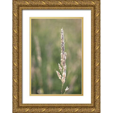 Basking in Summar Sun Gold Ornate Wood Framed Art Print with Double Matting by Kirshner, Dmitry