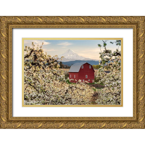 Fairytale Barn Gold Ornate Wood Framed Art Print with Double Matting by Daultich, Nick