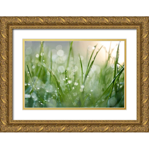 After The Rain  Gold Ornate Wood Framed Art Print with Double Matting by Daultich, Nick