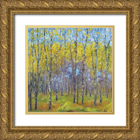 A Spring Day Gold Ornate Wood Framed Art Print with Double Matting by Dolce, Carmen