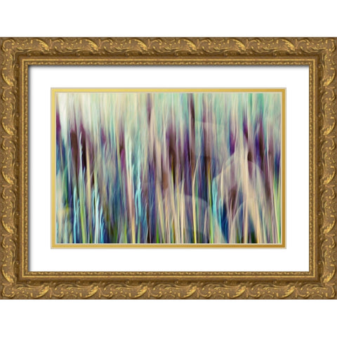 Colors of Canada I Gold Ornate Wood Framed Art Print with Double Matting by SD Enterprises