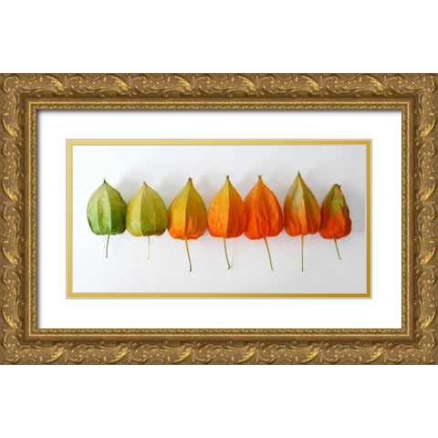 Chinese Lanterns III Gold Ornate Wood Framed Art Print with Double Matting by Savogne, Daniela