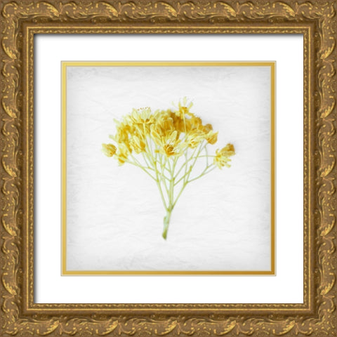 Meditative Yellow Gold Ornate Wood Framed Art Print with Double Matting by Savone, Daniela