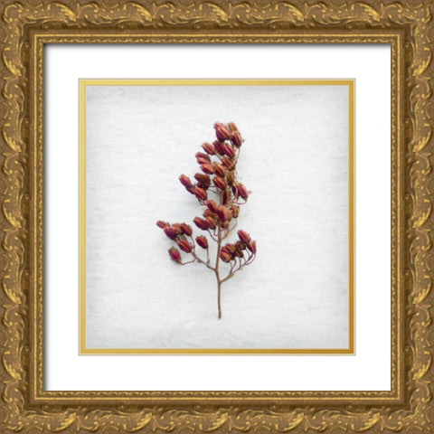 Mediterranean Shade Gold Ornate Wood Framed Art Print with Double Matting by Savogne, Daniela