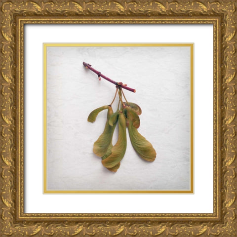 Sweet Dimensionality Gold Ornate Wood Framed Art Print with Double Matting by Savogne, Daniela