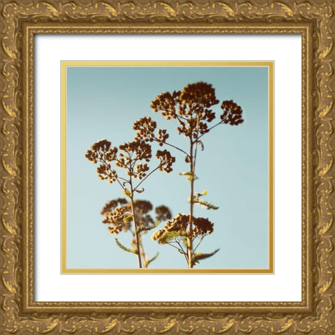 First Breath Gold Ornate Wood Framed Art Print with Double Matting by Savogne, Daniela