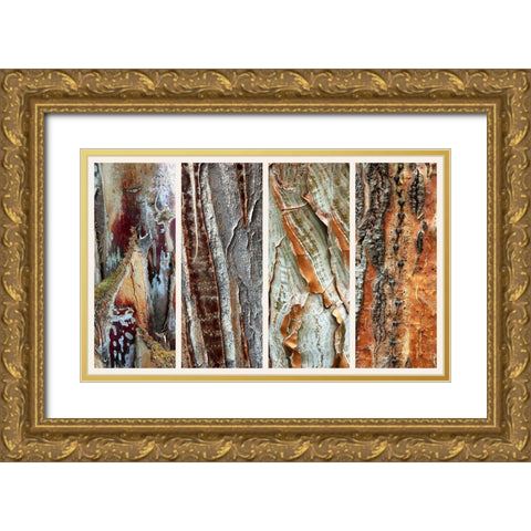 Palm Bark I Gold Ornate Wood Framed Art Print with Double Matting by Jenney, Jessica