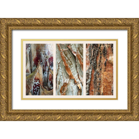Palm Bark II Gold Ornate Wood Framed Art Print with Double Matting by Jenney, Jessica