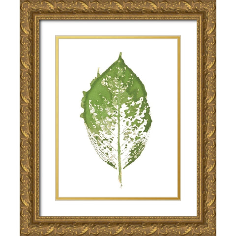 Beginning In Blue VII - Green Version  Gold Ornate Wood Framed Art Print with Double Matting by Evans, Amy