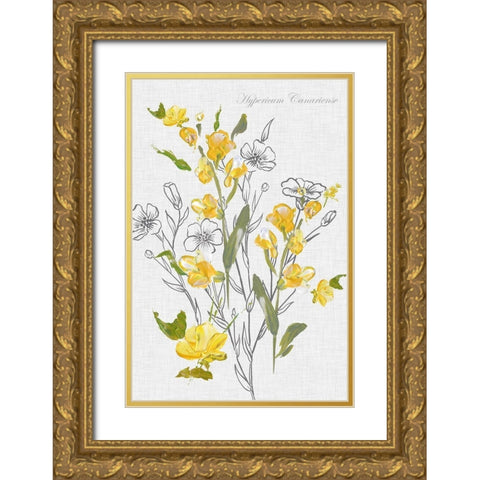 Botantical Yellow Flowers  Gold Ornate Wood Framed Art Print with Double Matting by Watts, Eva