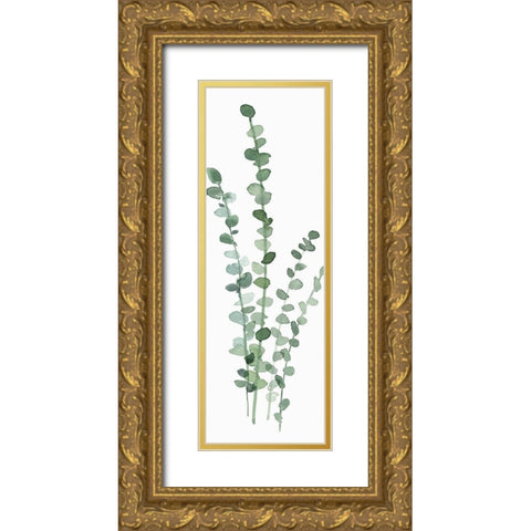 Fresh Eucalyptus Gold Ornate Wood Framed Art Print with Double Matting by Isabelle Z