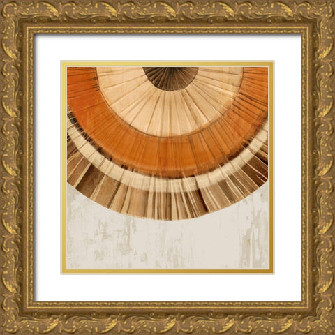 Arizona Fan II Gold Ornate Wood Framed Art Print with Double Matting by Isabelle Z