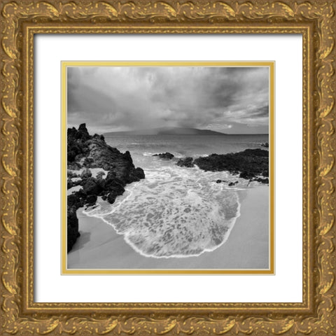 Beach Oasis Gold Ornate Wood Framed Art Print with Double Matting by Frates, Dennis
