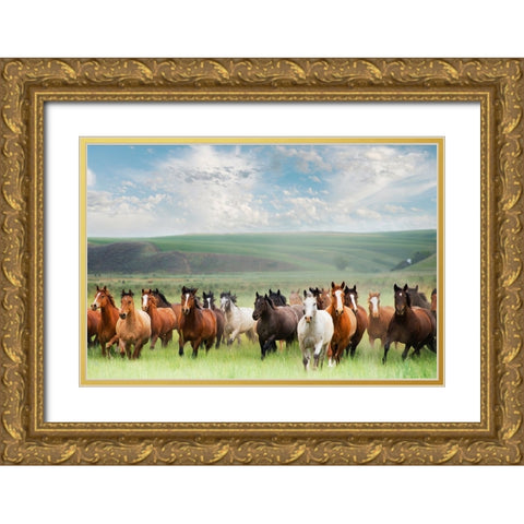 Horse Stampede Gold Ornate Wood Framed Art Print with Double Matting by Lane, Georgianna
