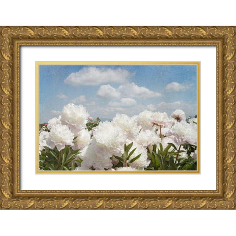Peonie Sunshine I Gold Ornate Wood Framed Art Print with Double Matting by Lane, Georgianna