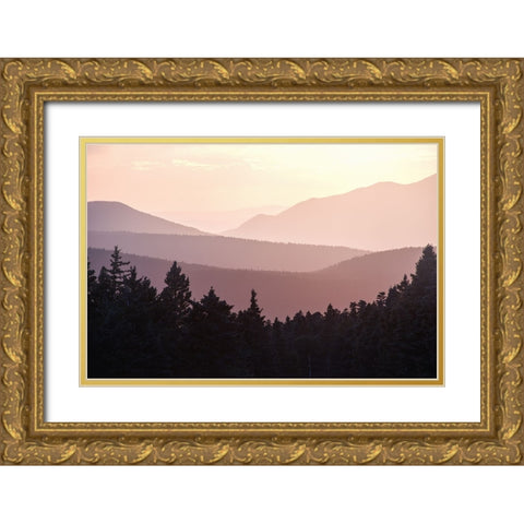 Sunset in the New Mexico Mountains Gold Ornate Wood Framed Art Print with Double Matting by Nature Magick