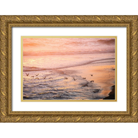 Ocean Beach and Sunset Seagulls Gold Ornate Wood Framed Art Print with Double Matting by Nature Magick