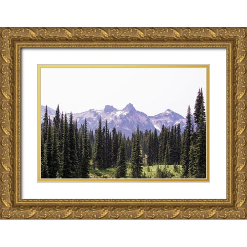 Alpine Forest Mountain Adventure Gold Ornate Wood Framed Art Print with Double Matting by Nature Magick