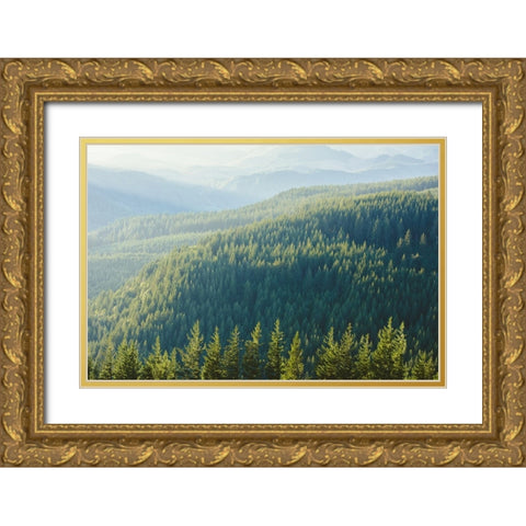 Green Vintage Treescape Gold Ornate Wood Framed Art Print with Double Matting by Nature Magick