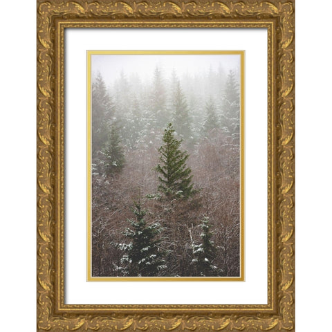 Forest Fog Winter Snow Gold Ornate Wood Framed Art Print with Double Matting by Nature Magick