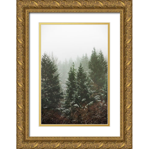 Forest Fog Winter Snow II Gold Ornate Wood Framed Art Print with Double Matting by Nature Magick