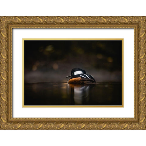 Pacific Northwest Duck Lake Reflection Gold Ornate Wood Framed Art Print with Double Matting by Nature Magick