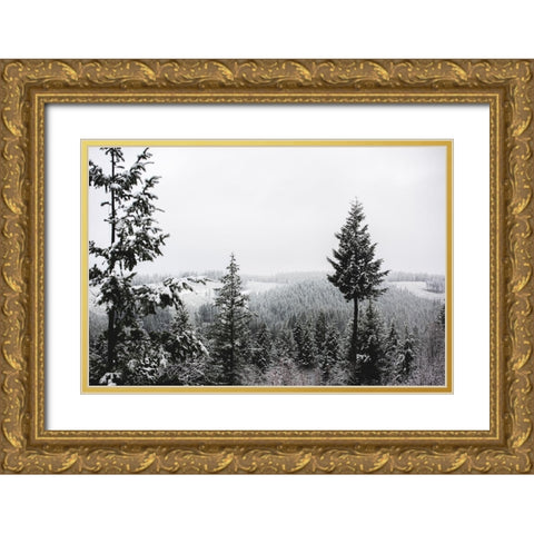Winter in the Pacific Northwest Forest Gold Ornate Wood Framed Art Print with Double Matting by Nature Magick