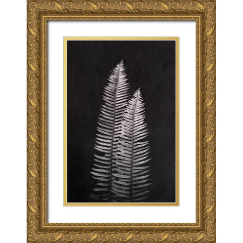 Black and White Forest Ferns Gold Ornate Wood Framed Art Print with Double Matting by Nature Magick
