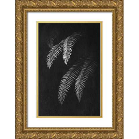 Black and White Forest Ferns II Gold Ornate Wood Framed Art Print with Double Matting by Nature Magick