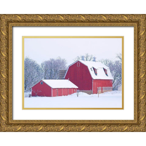 Winter Red Barn  Gold Ornate Wood Framed Art Print with Double Matting by Wilson, Gerry